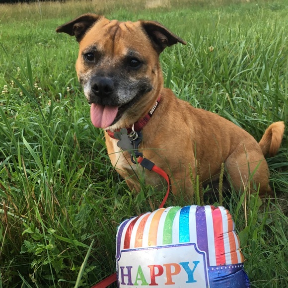 Meet your Posher, Kelly - Picture 1 of 1